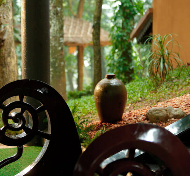 Forest View Cottages